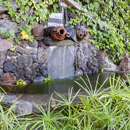 Casa Los Grabados, Piscina, Vistas, Barbacoa Y Zen Icod De Los Vinos Exteriör bild